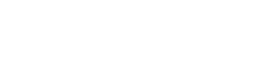 BizDocs
