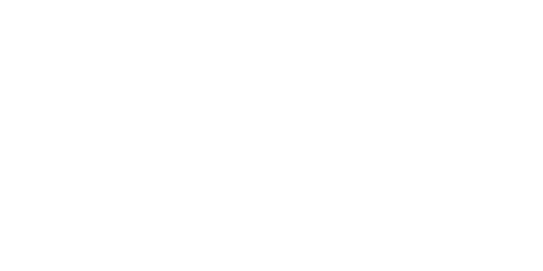 BizDocs